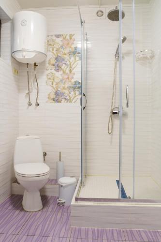 a bathroom with a toilet and a shower at Готельно-ресторанний комплекс БОЖЕДАР in Vinnytsya
