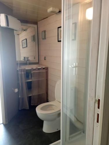 タンにあるAppartement Thann côté vignobleの小さなバスルーム(トイレ、シャワー付)