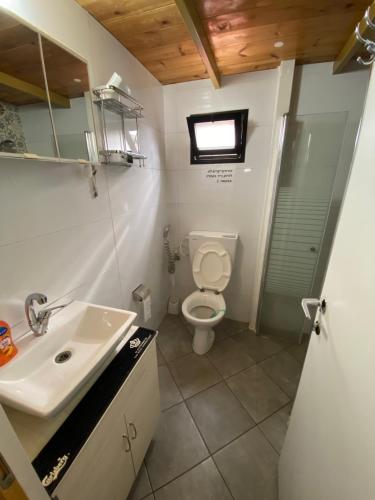 La salle de bains est pourvue de toilettes et d'un lavabo. dans l'établissement בקתה ואירוח היסמין מול הנוף, à Majdal Shams