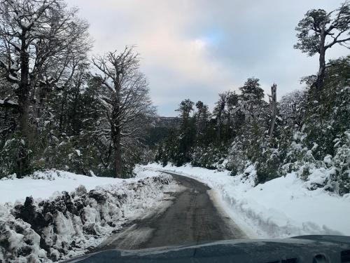 a dirt road covered in snow with trees on the side at Cabaña Familiar de Descanso y Paseo - Puyehue in Puyehue