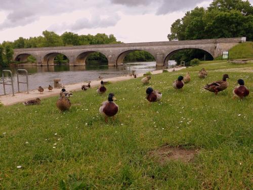 Camping de Bourg Charente – Photos 3