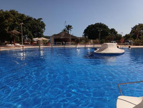 a large swimming pool with a white object in the water at Sunny place. in Guardamar del Segura