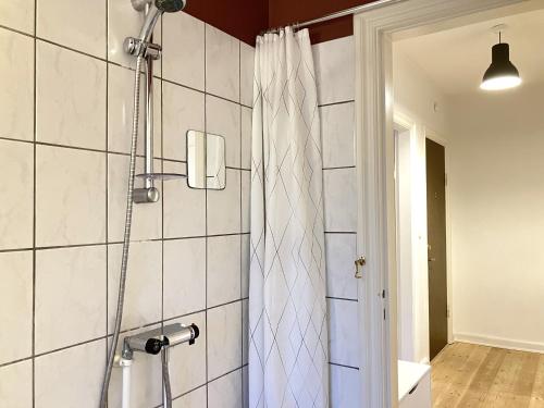 One Bedroom Apartment In Odense, Middelfartvej 259 في أودنسه: حمام مع دش مع ستارة دش