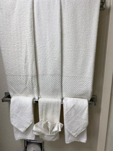 un gruppo di asciugamani appesi a un portasciugamani in bagno di Quality Inn a Perrysburg