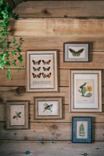 a wall with four framed pictures of butterflies at The Potting Barn in Saint Ervan