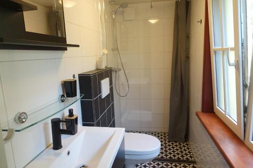een badkamer met een wastafel en een toilet bij Vechtdalchalet de Berk, 5 sterrenpark Capfun Stoetenslagh in Rheezerveen