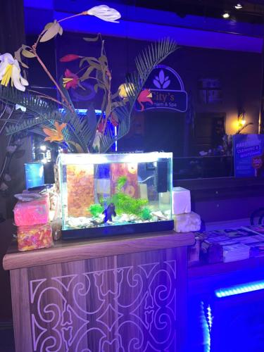 a fish tank sitting on top of a table at Maximum hamam Spa in Kusadası