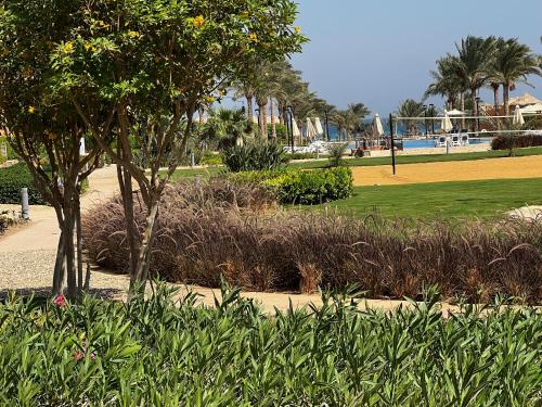 a park with a tree and grass and palm trees at Mountain View 1 /Ain El Sokhna in Ain Sokhna