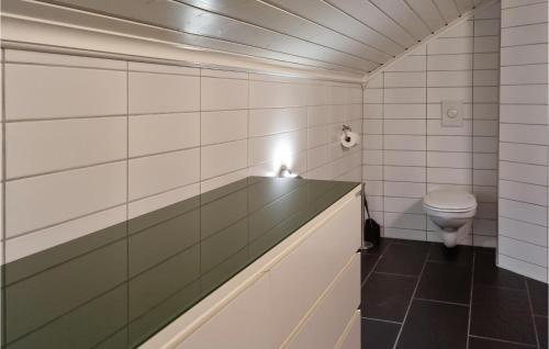 uma casa de banho com um WC e um lavatório em Cozy Home In Grimstad With House Sea View em Grimstad