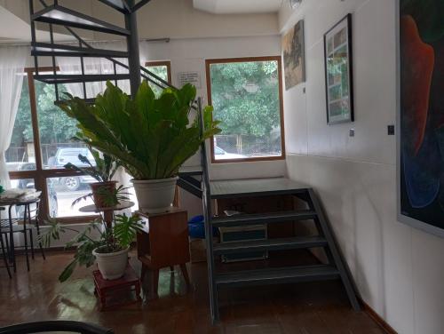 a room with a ladder and some potted plants at Citywalk Hotel in Dumaguete