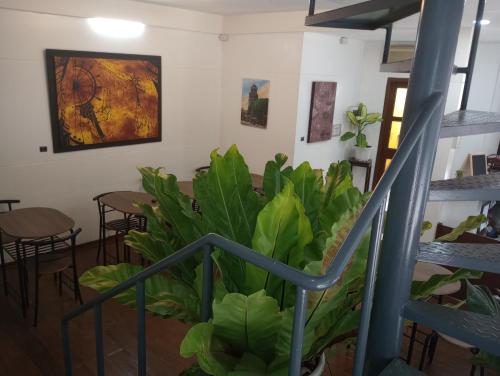 a room with stairs and plants and a painting on the wall at Citywalk Hotel in Dumaguete