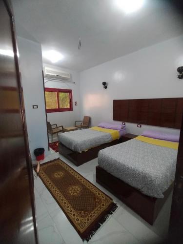 a bedroom with two beds and a room with a rug at Jamaica Guest House in Aswan