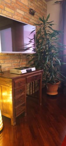 FontanafreddaにあるLa tua casa meravigliosa con giardinoの木製デスク(テレビ、鉢植え付)