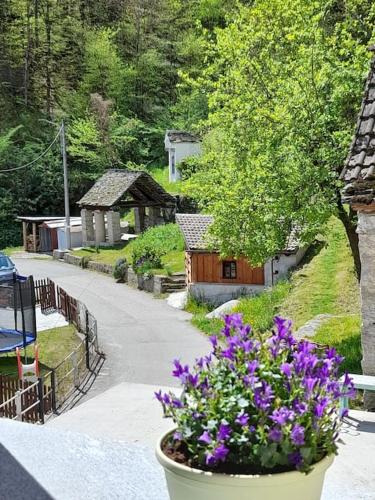 Κήπος έξω από το Verde Bosco