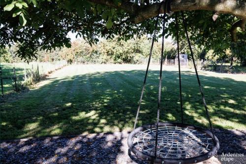 a swing hanging from a tree in a park at Li Mohone in Donceel