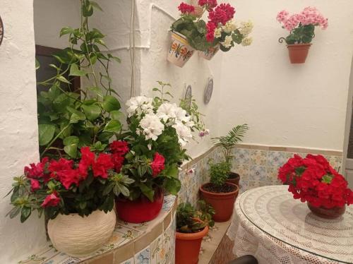 Zdjęcie z galerii obiektu Casa típica de pueblo andaluz w mieście Villanueva de San Juan