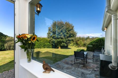 a bird sitting on a window sill with a vase of flowers at Cottage 435 - Clifden in Clifden