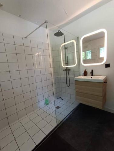 une salle de bain avec une douche, un lavabo et un miroir dans l'établissement Maison Canadienne dans la forêt, à Tourville-sur-Pont-Audemer