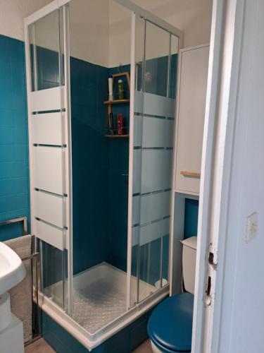une salle de bain avec douche et toilettes dans l'établissement Appart en Duplex - 4/6 personnes, au Barcarès