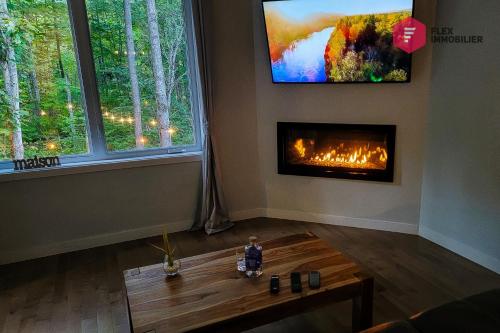 TV a/nebo společenská místnost v ubytování L'Arbre de la Montagne Orford - Ski Hiking Bicking Golf Beaches