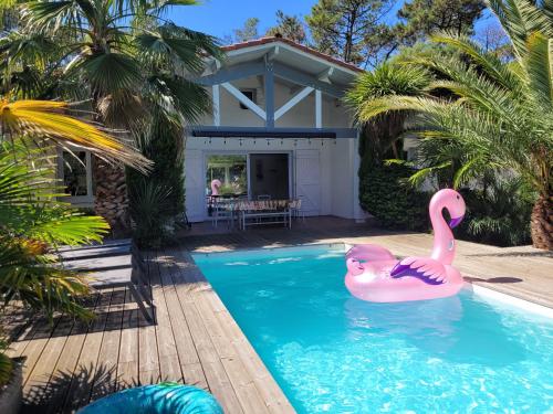 une piscine avec un flamingo rose en face d'une maison dans l'établissement *VILLA PALMA* 5 suites parentales, plage à 600 m, Vieux-Boucau, à Vieux-Boucau-les-Bains