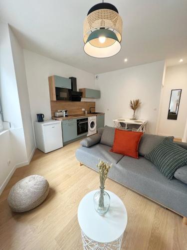 un salon avec un canapé et une table dans l'établissement LE PIQUE DE FALGUIERE - Centre - Gare - Netflix, à Toulouse