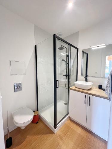 une salle de bain avec une douche, des toilettes et un lavabo dans l'établissement LE PIQUE DE FALGUIERE - Centre - Gare - Netflix, à Toulouse
