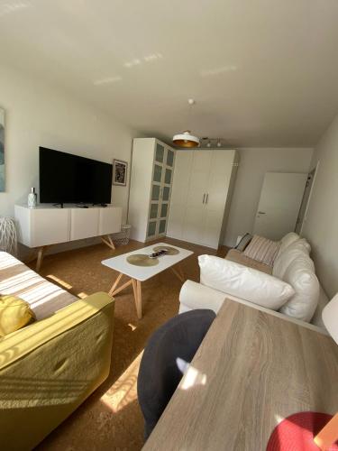 Una sala de estar con un sofá y un televisor. en Goce 20 New Belgrade,near hotel Jugoslavija, en Tošin Bunar