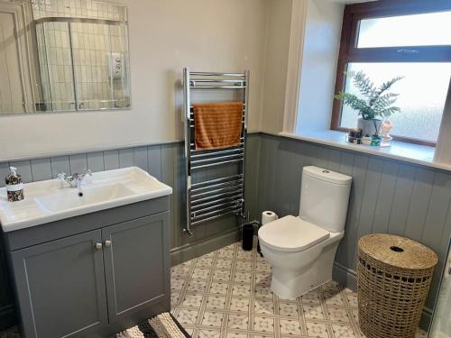 baño con aseo y lavabo y ventana en Sarah’s cottage en Newry