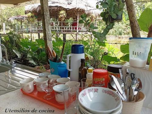 Un jardín fuera de Hostal Ariantiy