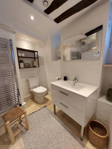 une salle de bain avec un lavabo blanc et des toilettes dans l'établissement Chez Laurette - Charming apartment in historic village near Versailles, à Marly-le-Roi