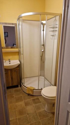 y baño con ducha, aseo y lavamanos. en Friendly Apartment in the suburb., en Budapest