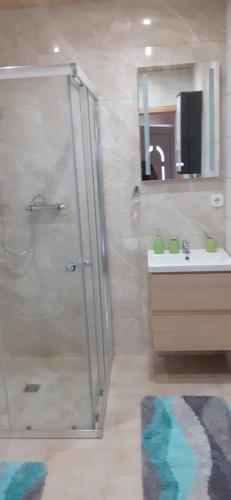ein Bad mit einer Dusche und einem Waschbecken in der Unterkunft Bergheim in Bad Elster
