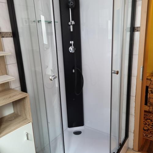 a shower with a glass door in a bathroom at Pension Haus am Malesfelsen in Albstadt