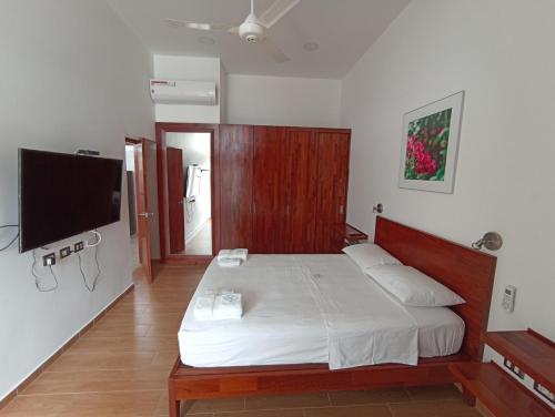 um quarto com uma cama e uma televisão de ecrã plano em Morona Flats & Pool - 70 m2 em Iquitos
