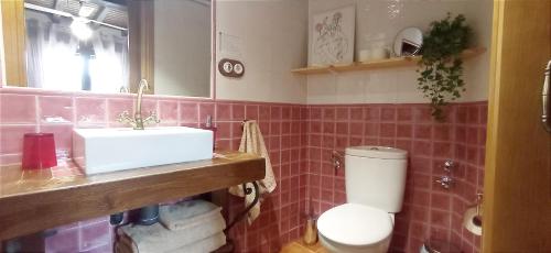 een badkamer met een wastafel en een toilet bij Ca tío Celso in San Esteban de la Sierra