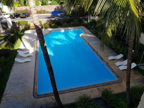 a large blue swimming pool next to two palm trees at Appartment et piscine in Flic-en-Flac