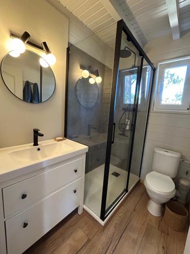 une salle de bain avec toilettes, lavabo et douche dans l'établissement Charmante maison californienne - jacuzzi - piscine dans le domaine - Golfe de St Tropez - 6-8 personnes, à Gassin