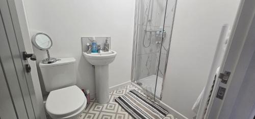 a bathroom with a shower and a toilet and a sink at City Blessed Aptm 5 with free parking in South Shields