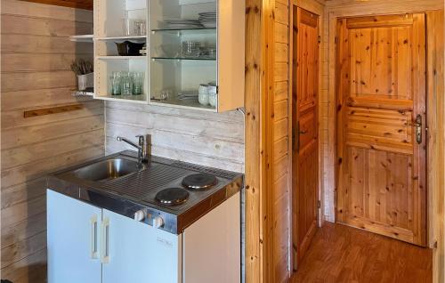 a kitchen with a sink and a stove at Pet Friendly Home In Grue Finnskog With Wifi in Svullrya