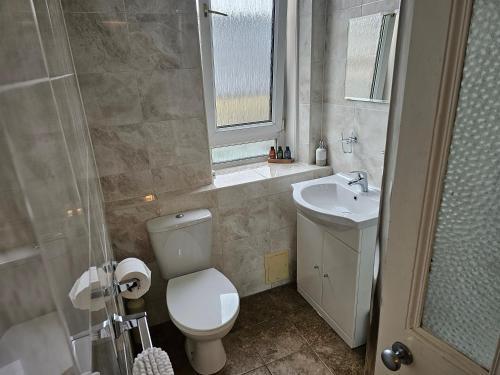 La salle de bains est pourvue de toilettes, d'un lavabo et d'une douche. dans l'établissement Snug - Abhainn Apartment, à Helensburgh