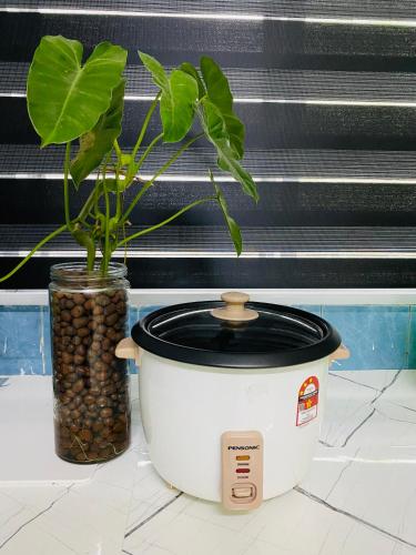 a potted plant in a pot next to a window at SOFEA HOMESTAY in Pantai Cenang