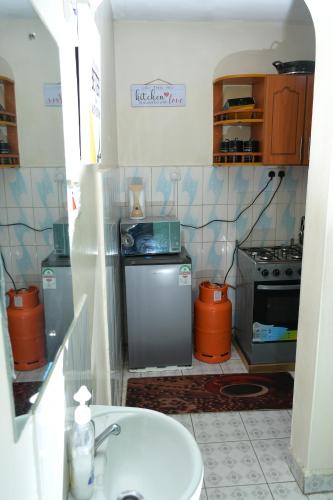 a small kitchen with a sink and a stove at Nomads Luxurious Homes in Nairobi