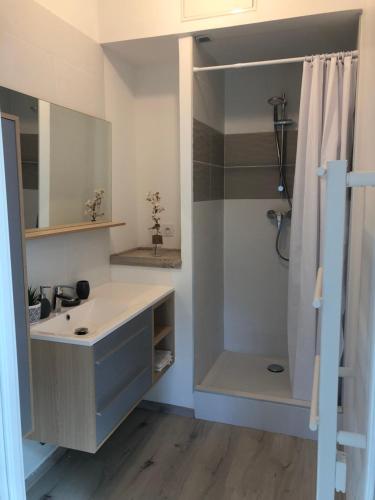 y baño con lavabo y ducha. en Appartement 4 a 6 pers entre Toulouse et Albi, en Buzet-sur-Tarn