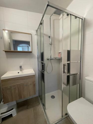 bagno con doccia, lavandino e servizi igienici di Pt'i Cosy Cabestany - rénovée - La mer à 10 min a Cabestany