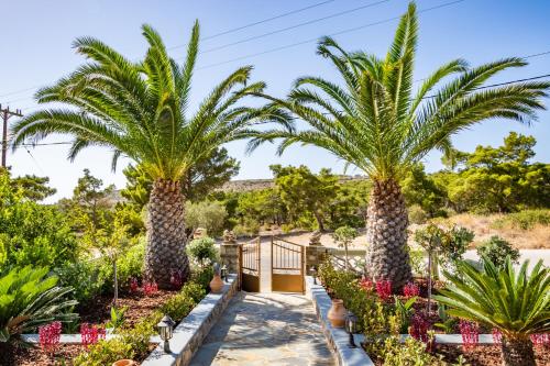 Κήπος έξω από το Reisis Family Residence