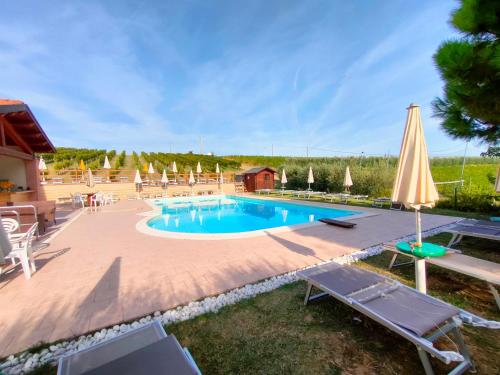 una piscina con sillas y sombrillas en un patio en Agriturismo e Cantina La Sabbiona, en Faenza