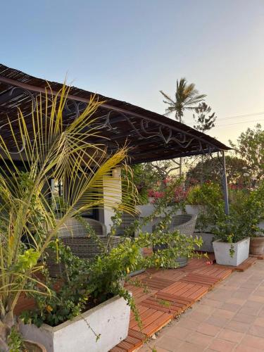 a patio with plants and a pavilion with a building at Flamingo résidence in Toliara