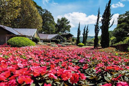 Κήπος έξω από το Unique Garden
