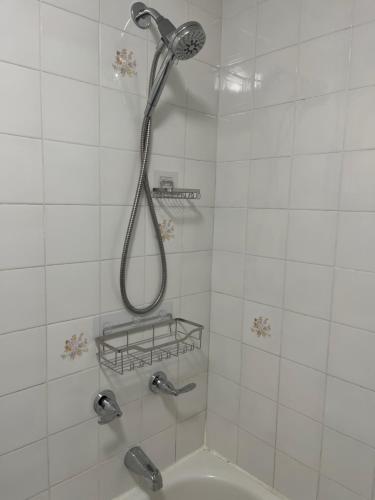 y baño con ducha con cabezal de ducha. en Bright, Private, Peaceful Suite with Retail Conveniences Steps Away en Toronto